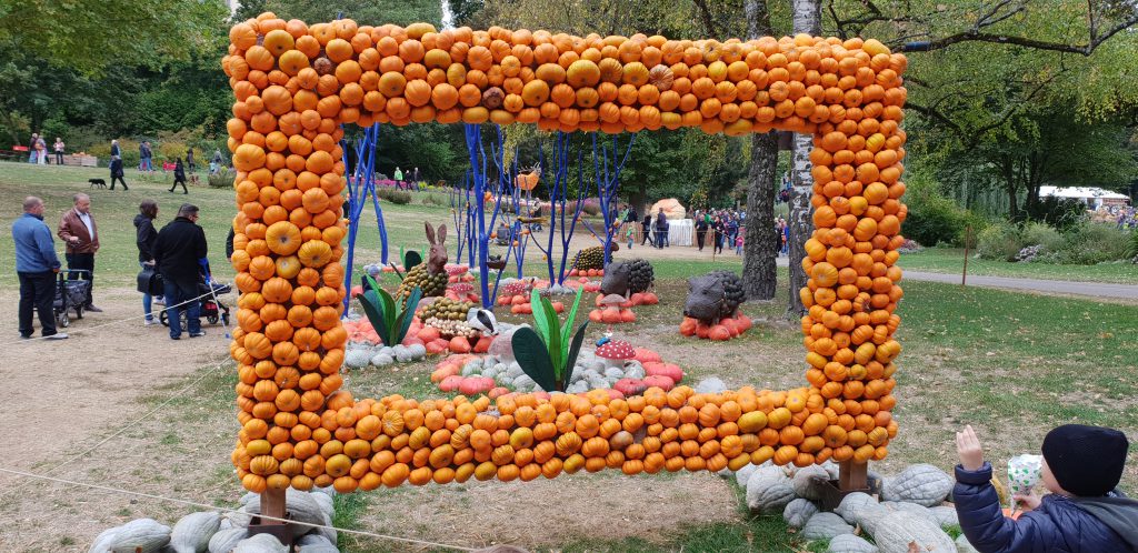 kuerbisausstellung_bluehendes-barock