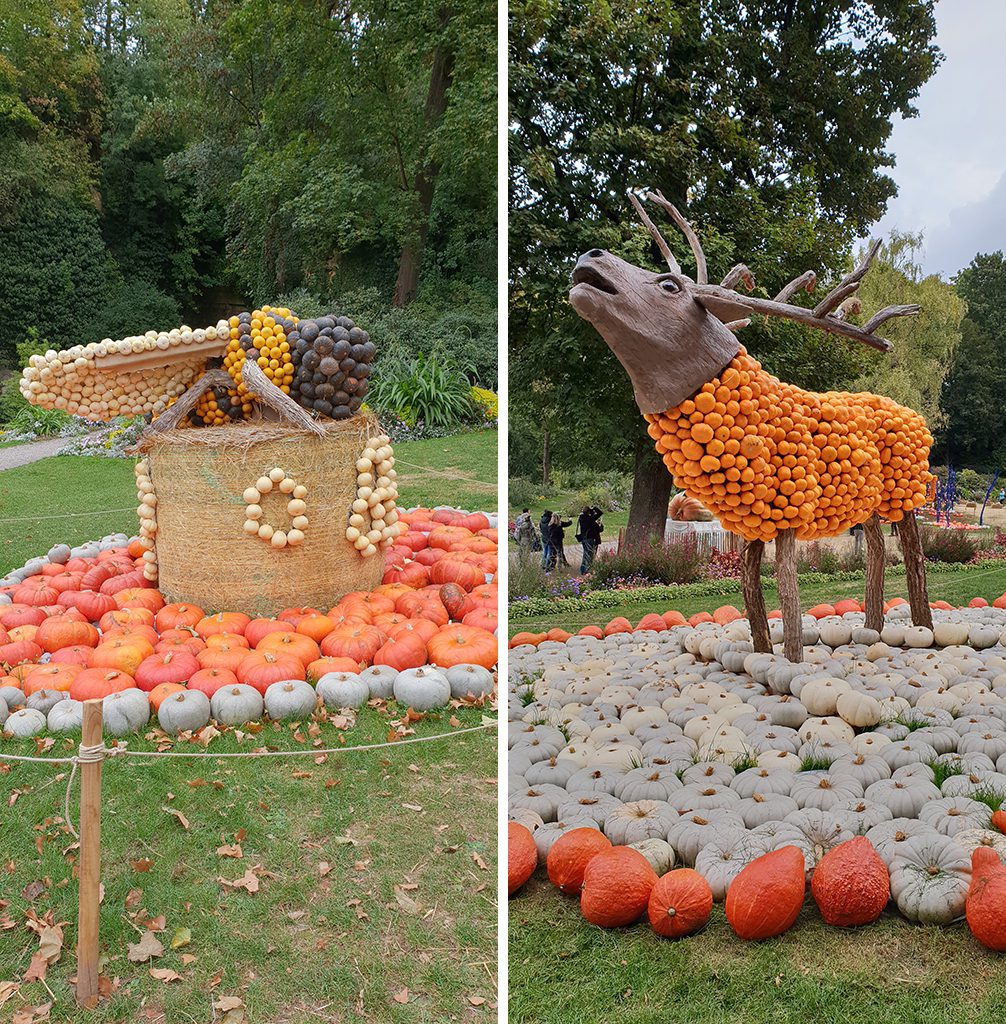 biene_hirsch_kuerbisausstellung