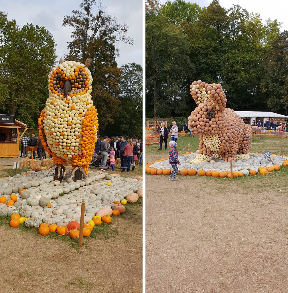 eule_hase_kuerbisausstellung