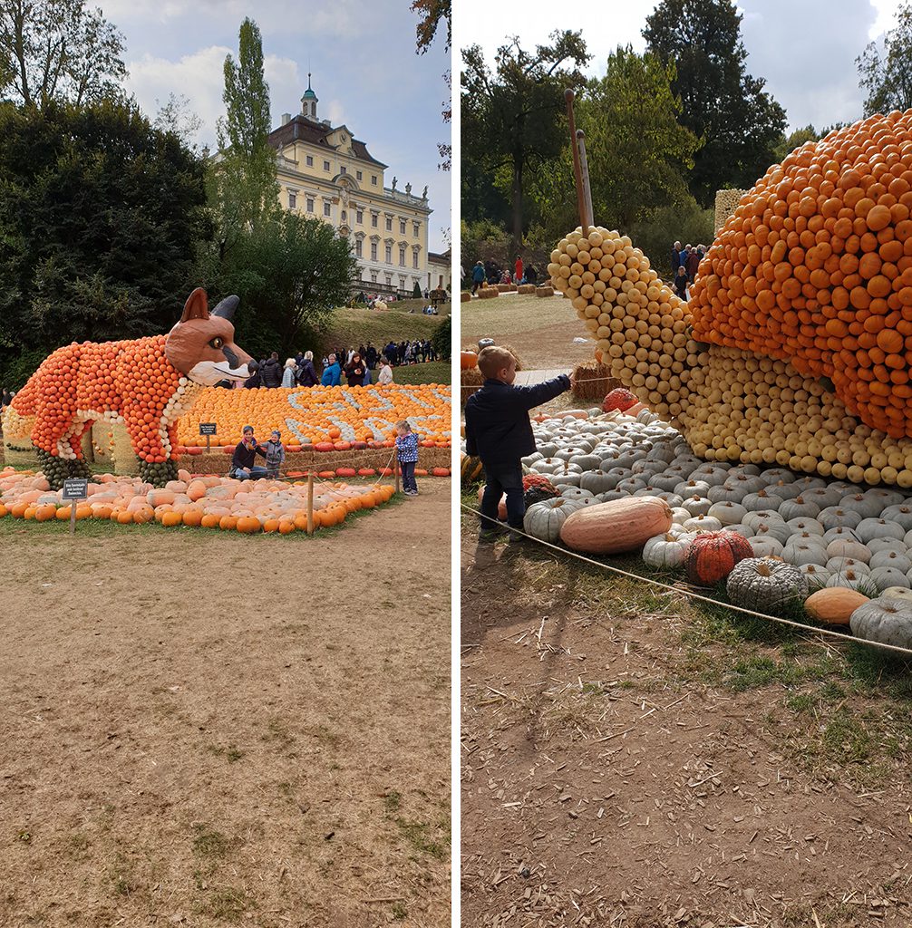 fuchs_schnecke_kuerbisausstellung