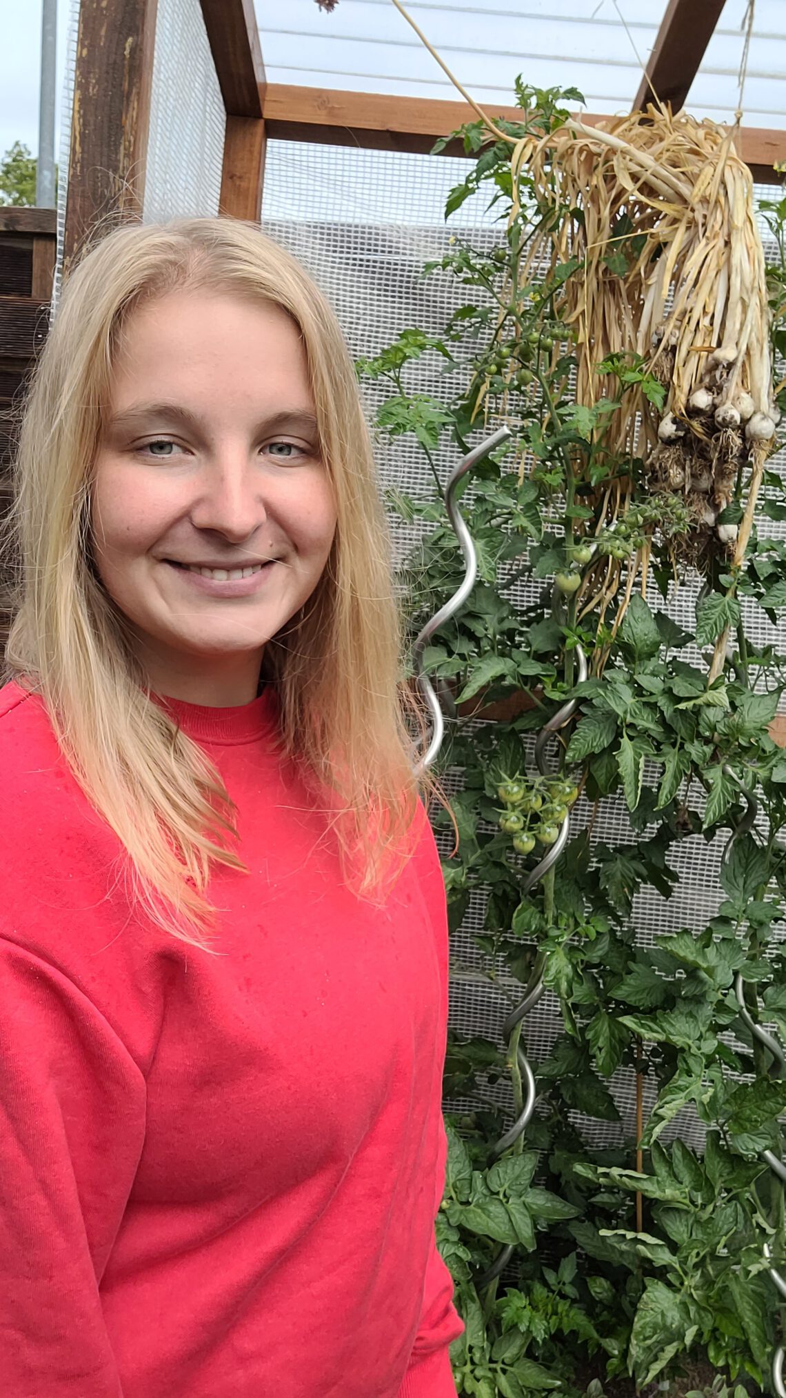Süßkartoffel selber ziehen und anbauen - Sophies Garten