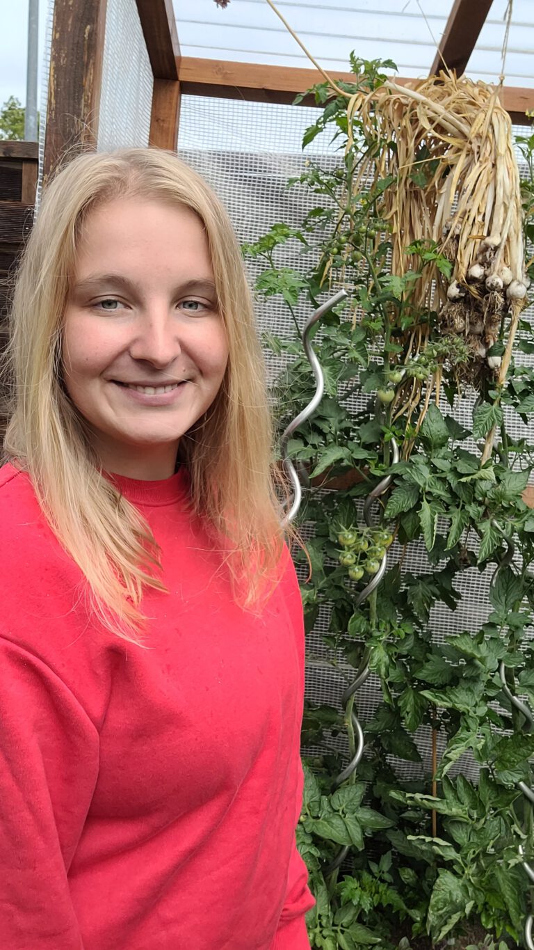 Süßkartoffel selber ziehen und anbauen - Sophies Garten
